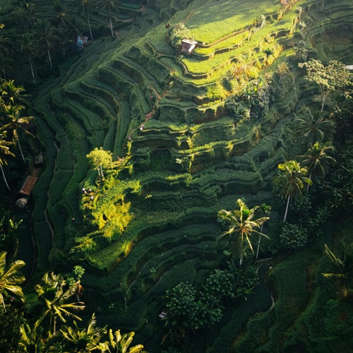 Sikkim